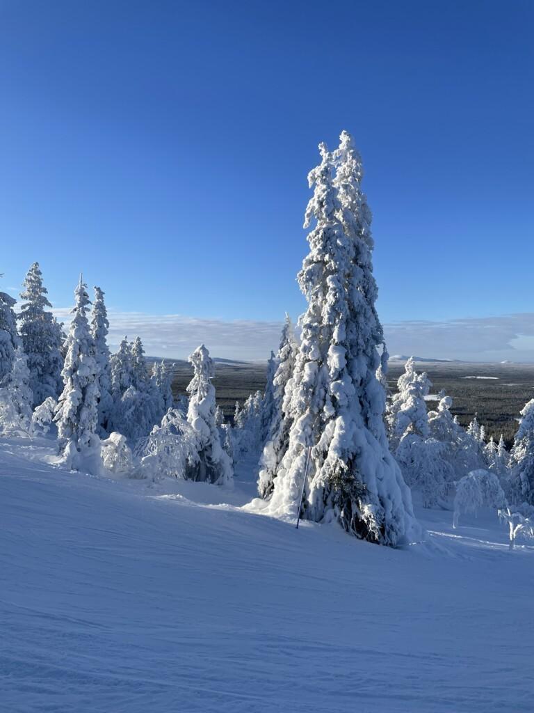Talvinen tunturi